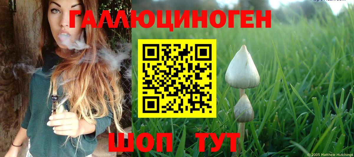 Галлюциногенные грибы Psilocybine cubensis Южно-Сахалинск