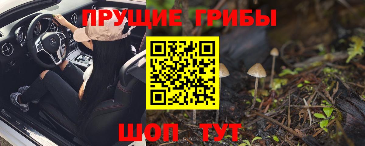 Южно-Сахалинск  Псилоцибиновые грибы Psilocybe  Вход с VPN 